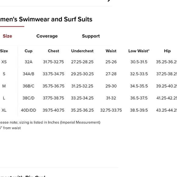 NWOT Ripcurl Women's Bikini Bottom Blue White Stripe Cheeky Coverage - Picture 10 of 11